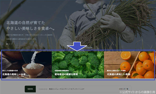 キャプチャ画像