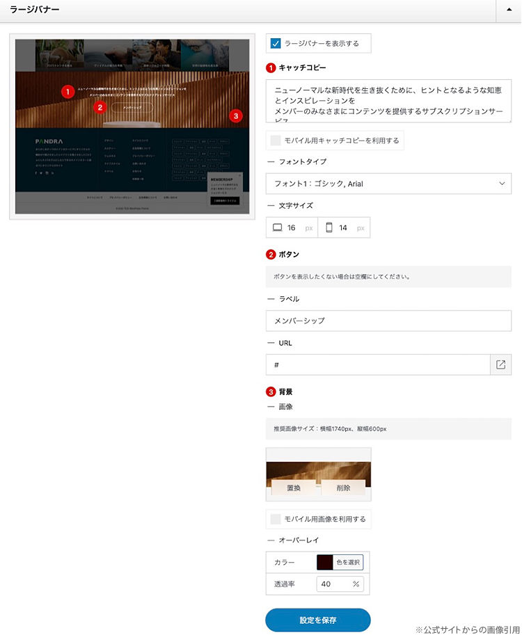 キャプチャ画像