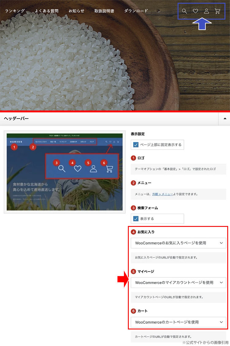 キャプチャ画像