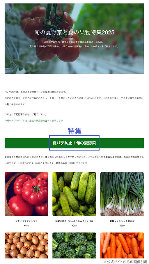 キャプチャ画像