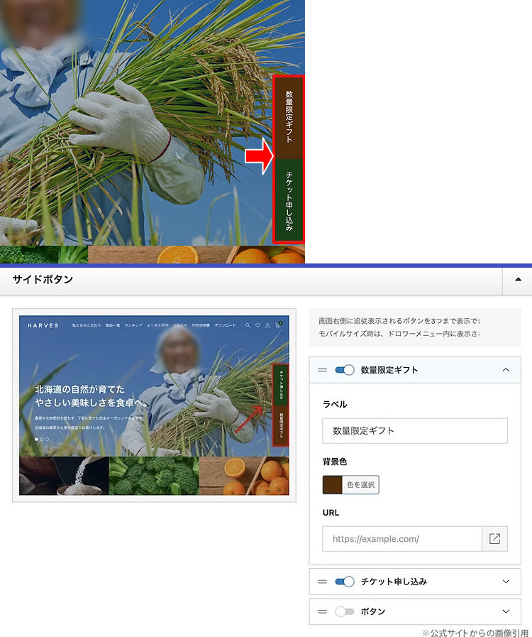 キャプチャ画像